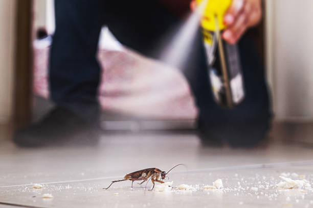 Best Insect Control  in Fairplains, NC